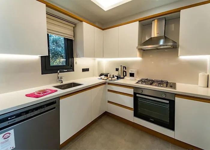 Merkezde 8 Kisilik Oezel Havuzlu Villa Fethiye